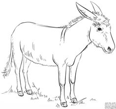 236x221 Realistic Donkey Drawing In 4 Steps With Photoshop Donkey