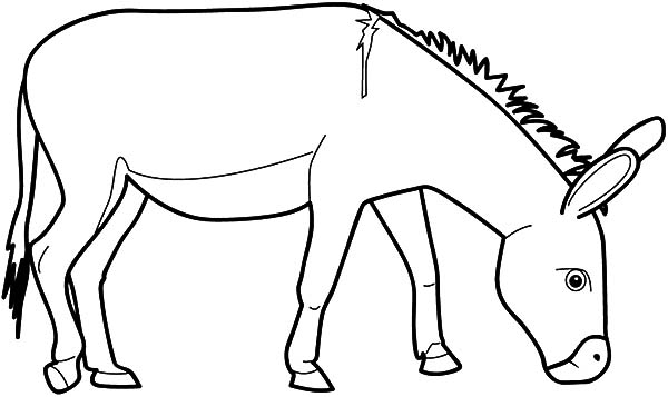 600x357 Amazing Donkey Coloring Pages 55 With Additional Download Coloring