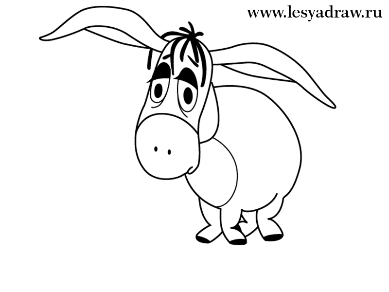 Burro Drawing at GetDrawings | Free download