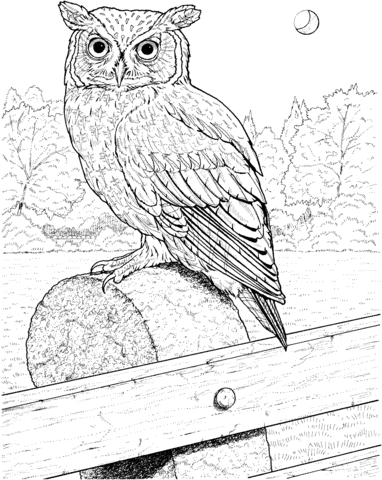 382x480 Great Horned Owl Coloring Page Free Printable Coloring Pages