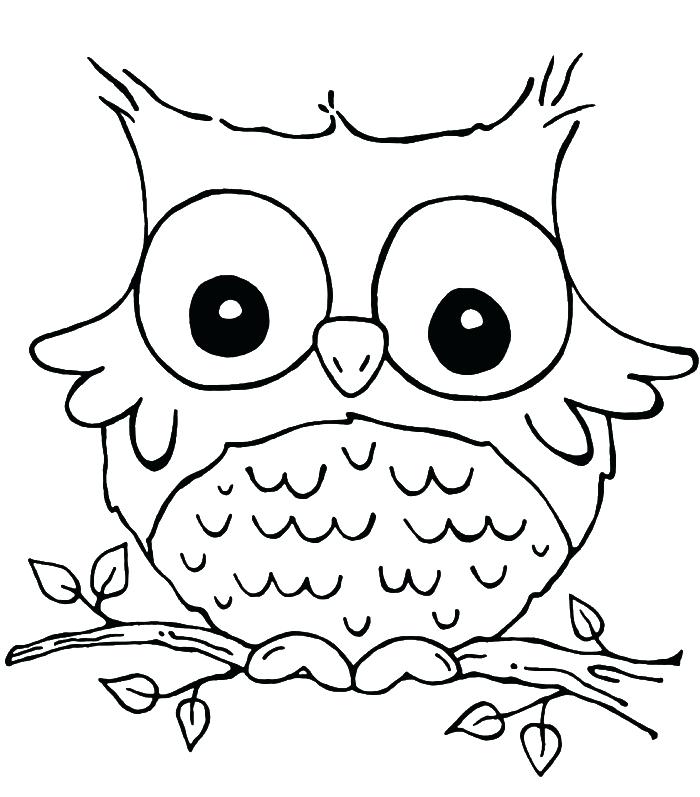 Burrowing Owl Coloring Page
