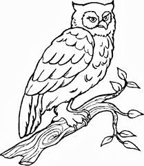 209x241 Owl Coloring Pages Barn Owl Free 01 Crafts Owl