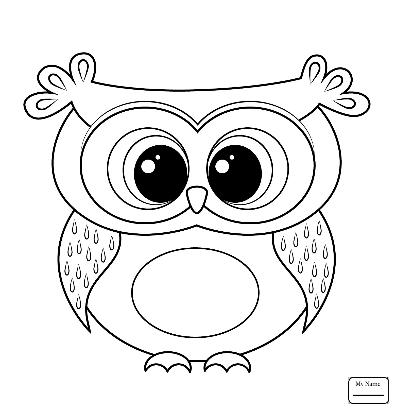 1557x1616 Owls
