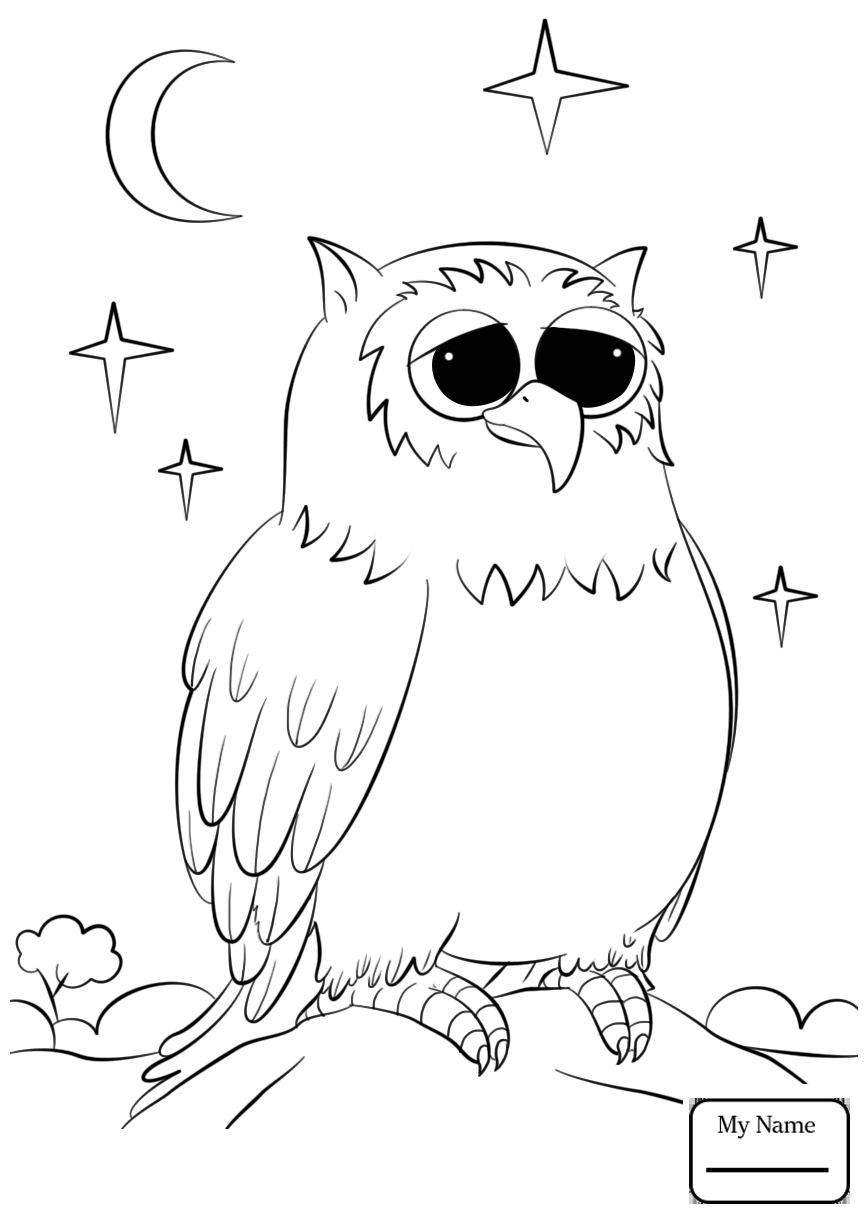 866x1224 Owls