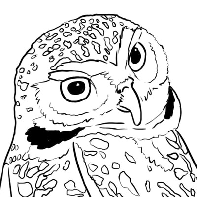 400x400 Coloring Pages