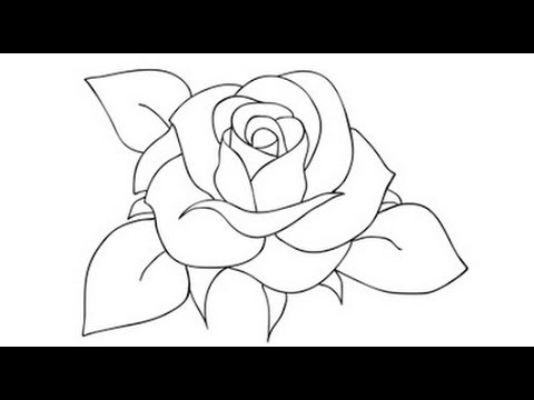 480x360 How To Draw A Rose Step By Step Video Drawing Roses