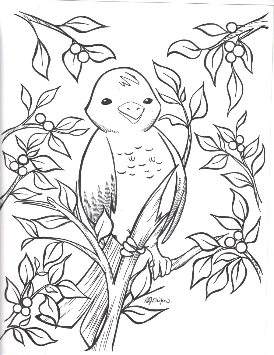 900x1165 Winter Bird And Holly Bush By Jadzialana