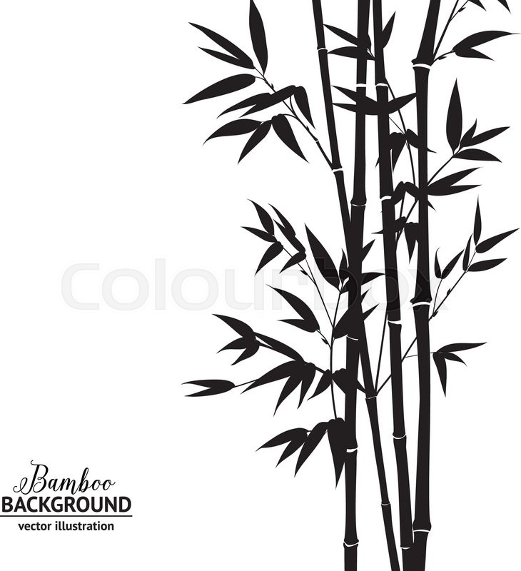 730x800 Bamboo Bush, Ink Painting Over White Background. Vector