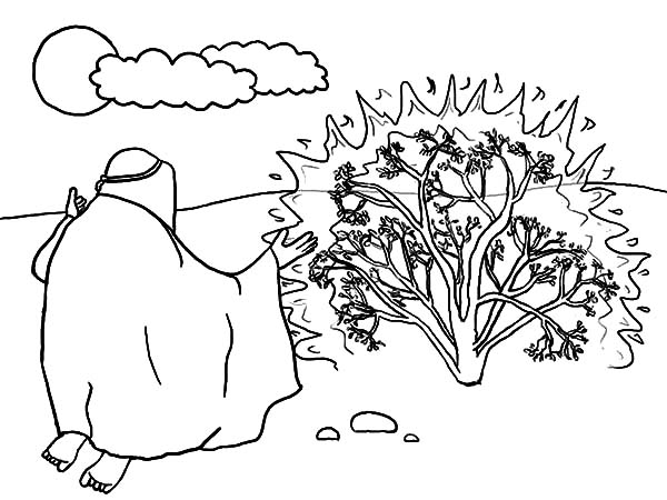 600x450 Burning Bush Moses Netart