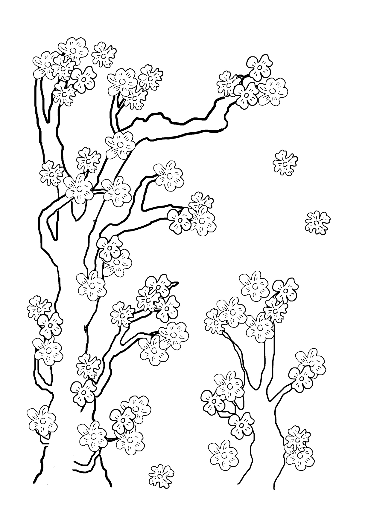 1240x1754 Flower Coloring Pages
