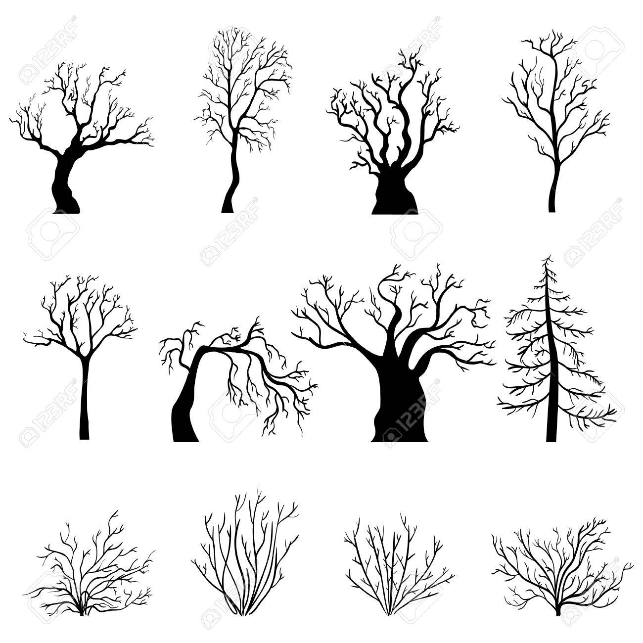 1300x1300 Vector Set Of Black Silhouettes Of Bare Trees And Bushes Without