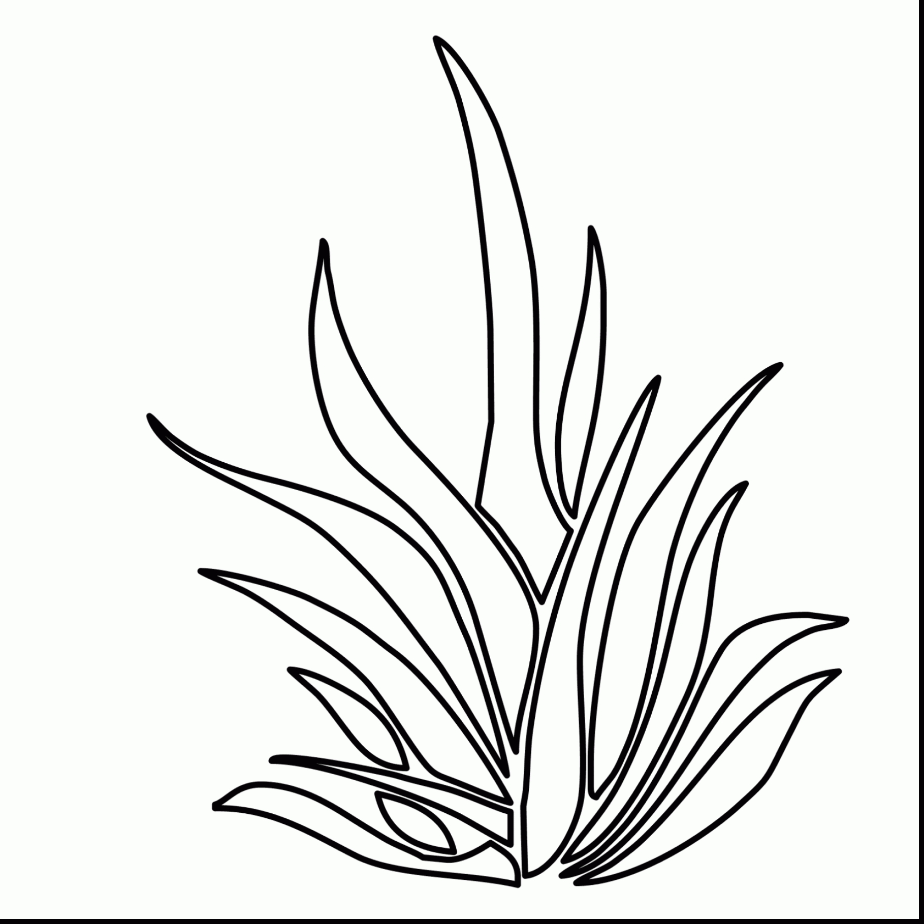 1819x1819 Astounding Plants And Bushes Coloring Pages With Plant Coloring