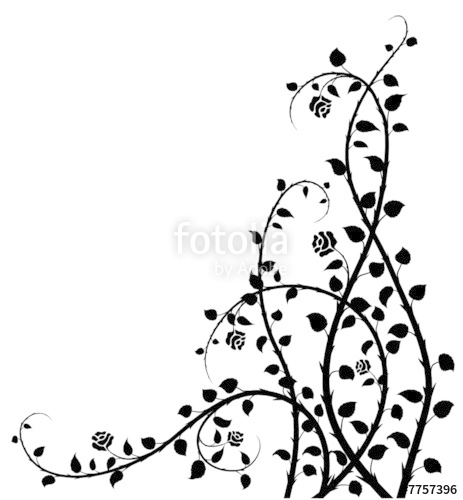 463x500 Rose Bush Stock Image And Royalty Free Vector Files On Fotolia