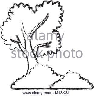 311x320 Tree Bushes Natural Ecology Sketch Stock Vector Art Amp Illustration