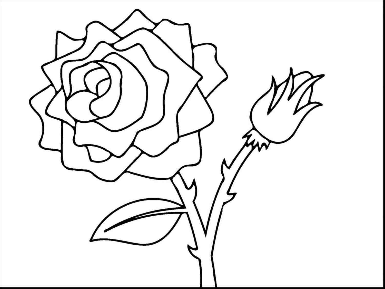 1501x1126 With Of S Collection How To Draw A Thorns Download All Collection