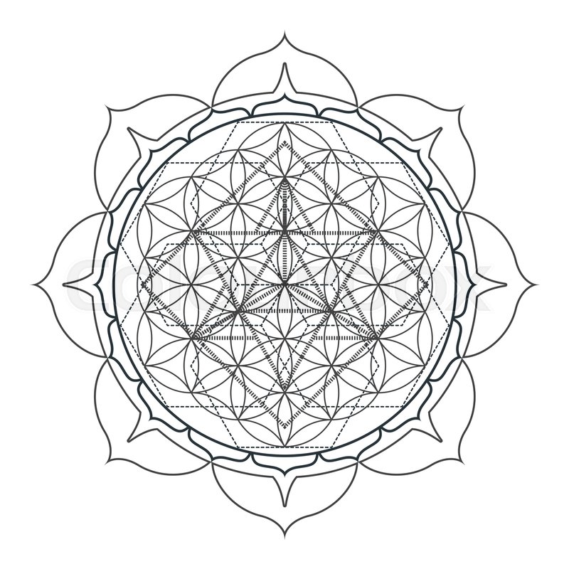 800x800 Wine, Drink, Background, Banner, Vector, Illustration, Restaurant