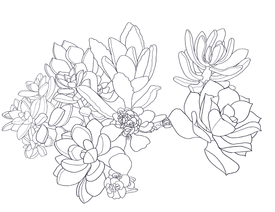 955x736 Cniska Have Decided On Succulents For My Business Card Stay