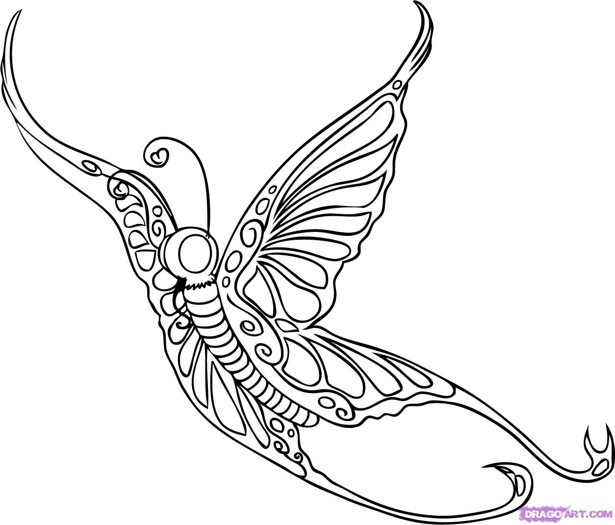 1254x1071 Drawn Butterfly Flight Drawing