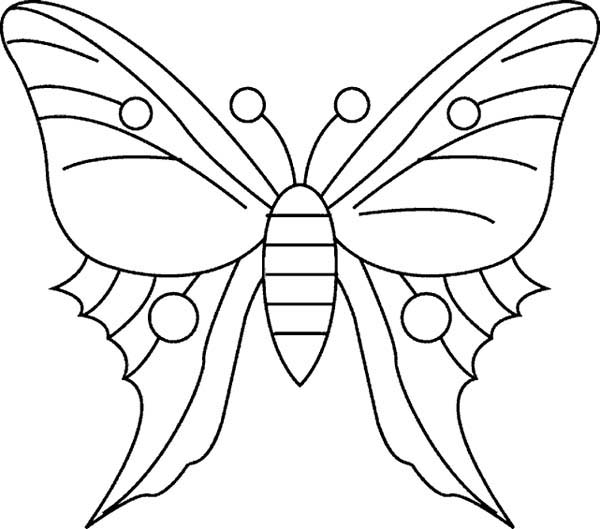 600x529 Simple Butterfly Drawing Coloring Page