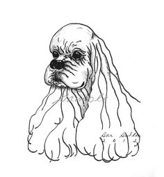 236x255 Bar Butler (Brainboyn)