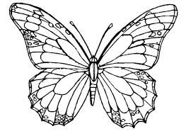 263x192 Image Result For Butterflies And Moths With Wings Folded Art
