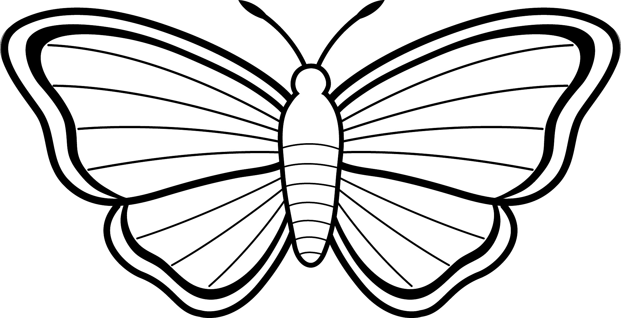 2000x1024 Line Drawing Butterfly Home Plan Maker
