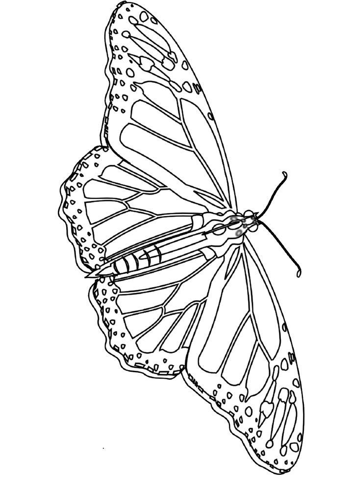 718x995 Monarch Butterfly Coloring Pages Butterfly Templates, Origami