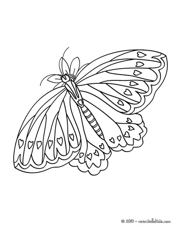 Buttefly Drawing at GetDrawings | Free download