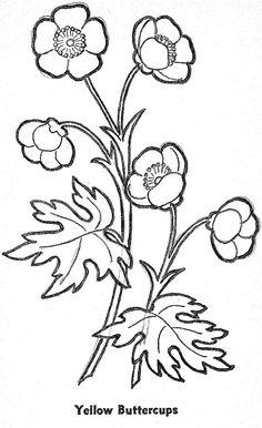 236x386 Cartoon Eyes Drawing Royalty Free Cliparts, Vectors, And Stock