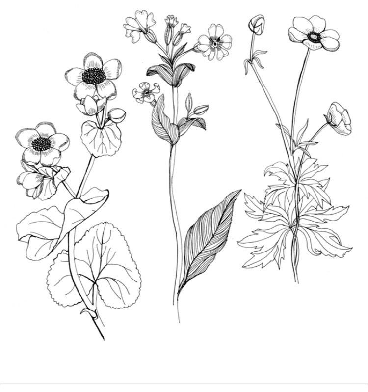 750x798 Pin By Sarah Skinner On Flower Tattoos Tattoo