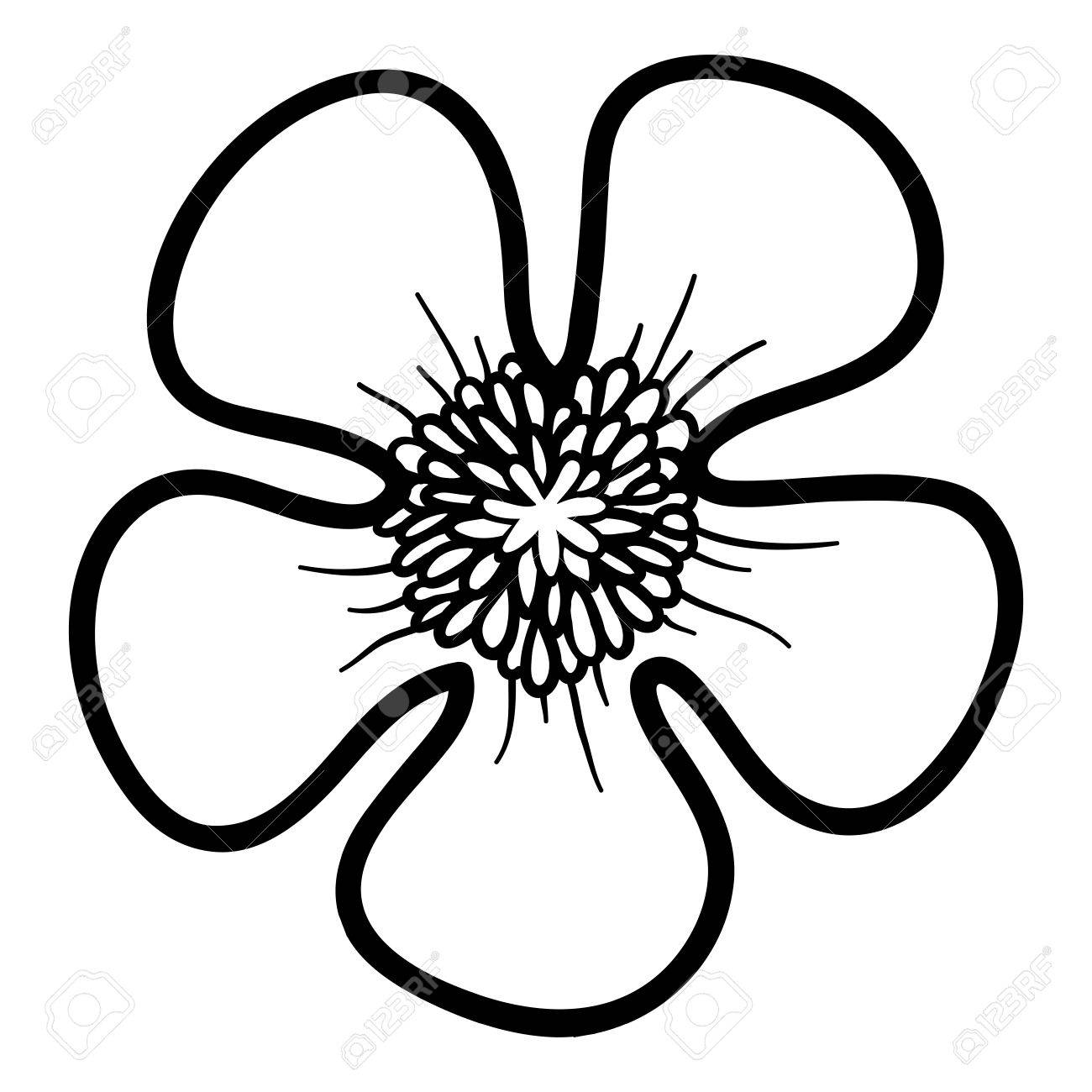 1300x1300 Coloring Book For Children, Flower Buttercup Royalty Free Cliparts