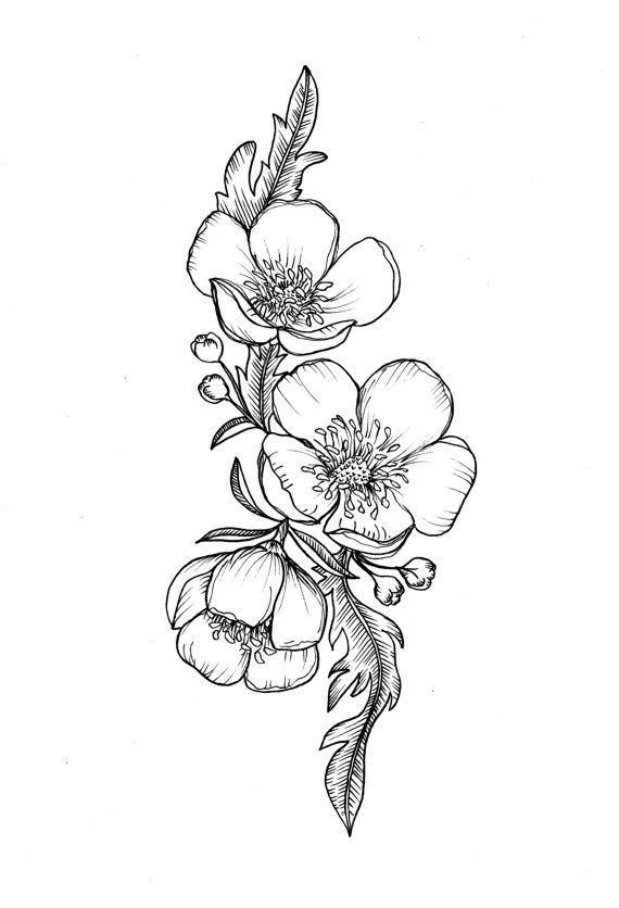 570x836 Custom Buttercup Illustration Tattoo For Greer By Themintgardener