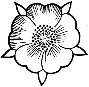 288x280 Flower Tattoos Flower Choices To Beautify Your Body