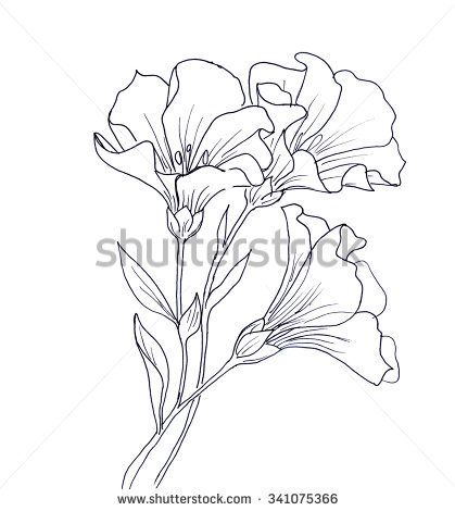 419x470 Line Ink Drawing Of Flower With Butterfly. Black Contour On White