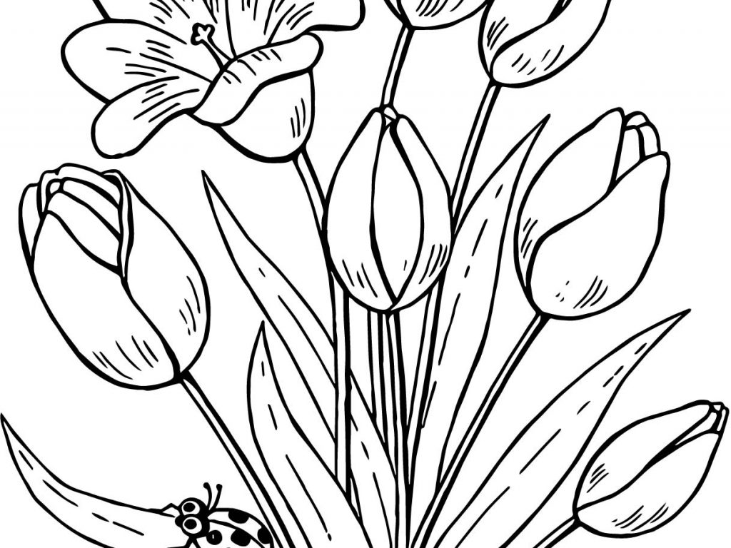 1024x768 Printable Butterflies And Flowers Coloring Pages Free Cartoon