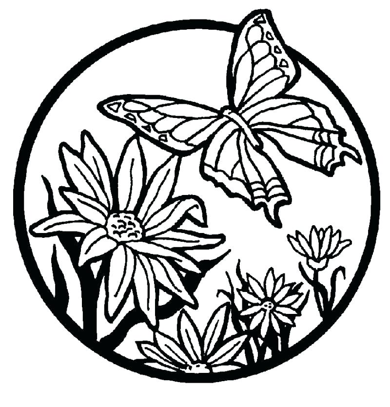 800x835 Butterfly Clip Coloring Page Butter Coloring Pages Cute Butterfly