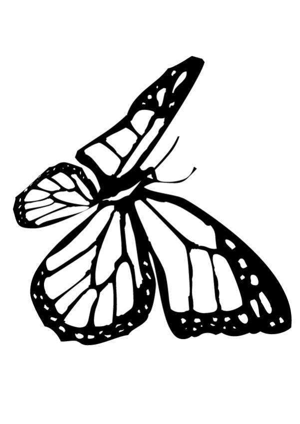 601x850 Flying Butterfly Coloring Pages