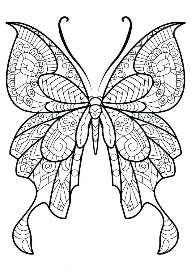 618x874 Butterfly Coloring Page A Picture Drawings With Color Tribal
