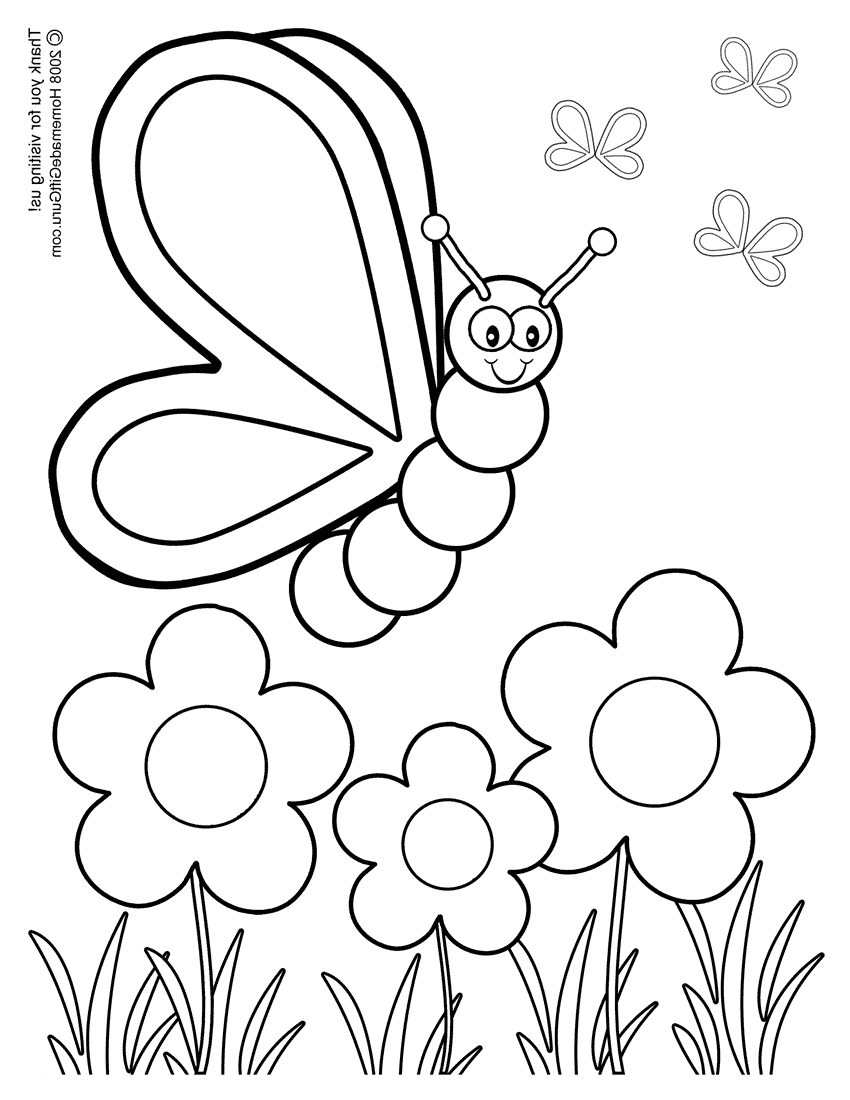 850x1100 Coloured And Complete Drawings Of Butterflies And Flowers