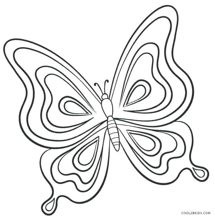 728x740 Life Cycle Of A Butterfly Coloring Page Printable Butterfly
