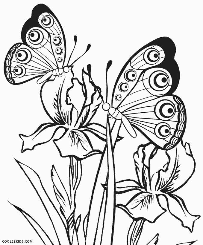 678x820 Printable Butterfly Coloring Pages For Kids Cool2bkids