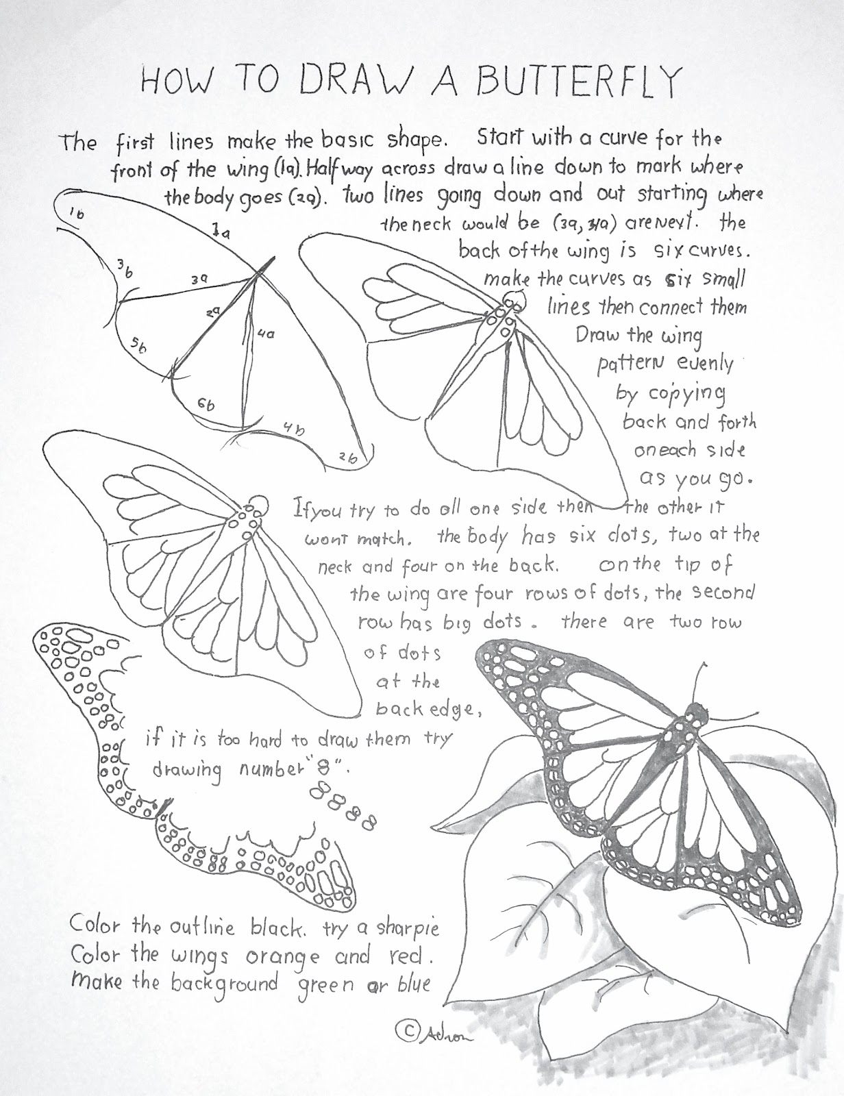 1232x1600 How To Draw A Monarch Butterfly Penink Winged