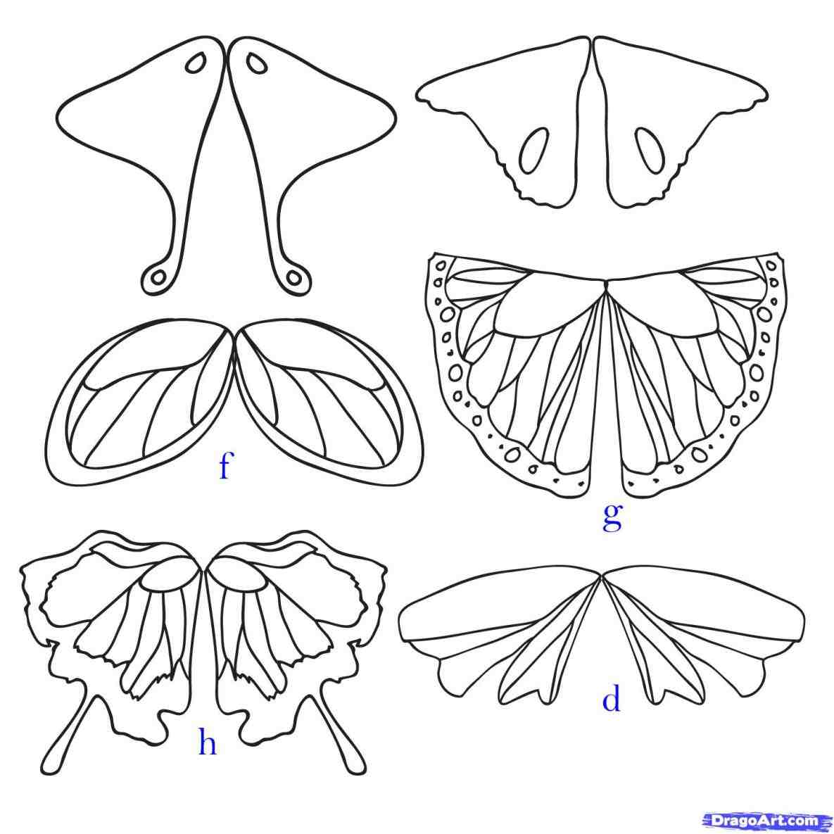 1185x1185 Easy Drawings Of Butterflies Step By Step