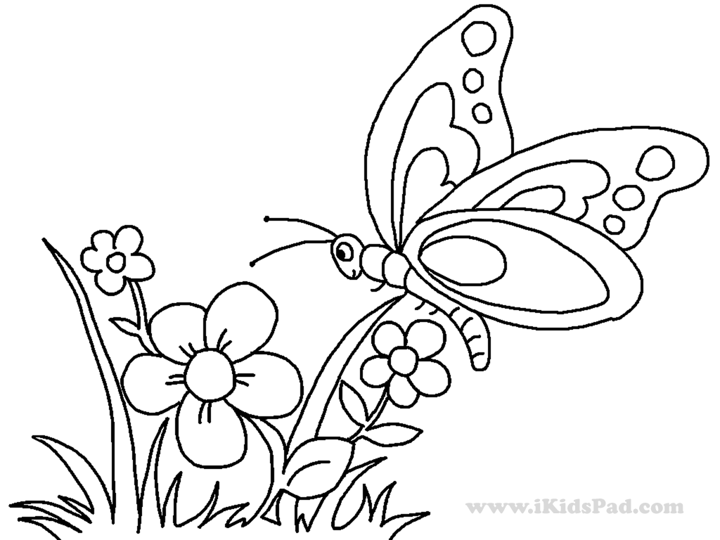 1024x768 Butterfly And Flower Drawing For Kids