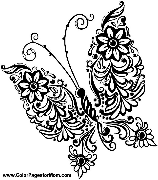 640x729 Glamorous Printable Butterfly Coloring Pages 87 For Your Coloring