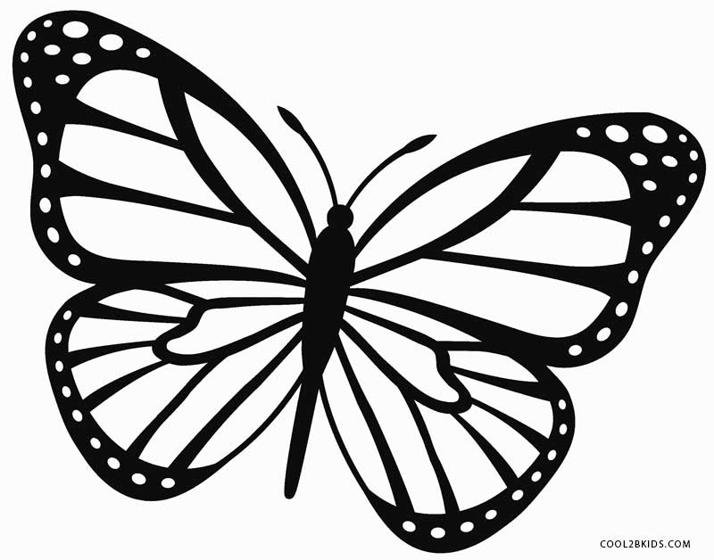 800x628 Lovely Monarch Butterfly Coloring Page 45 With Additional Coloring