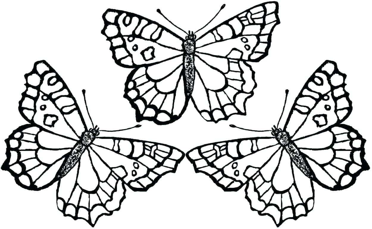 1250x769 Coloring Coloring Pages Flowers And Butterflies