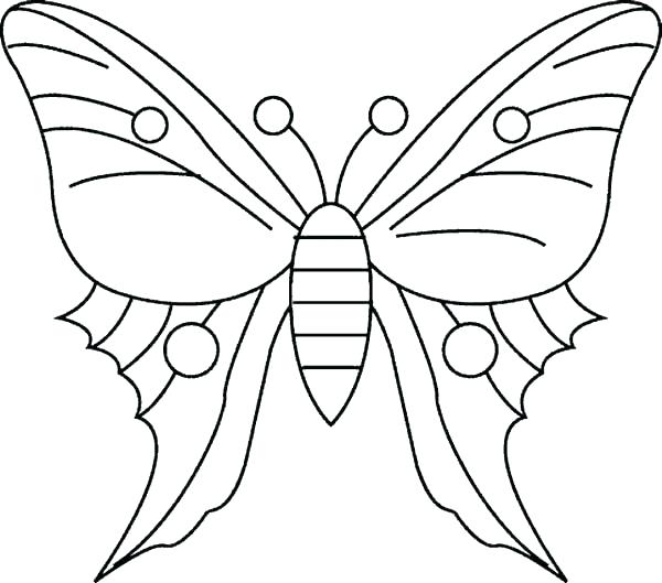 600x529 Monarch Butterfly Coloring Page Murs