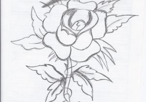 300x210 Butterfly And Flower Drawings How To Draw A Butterfly On A Flower