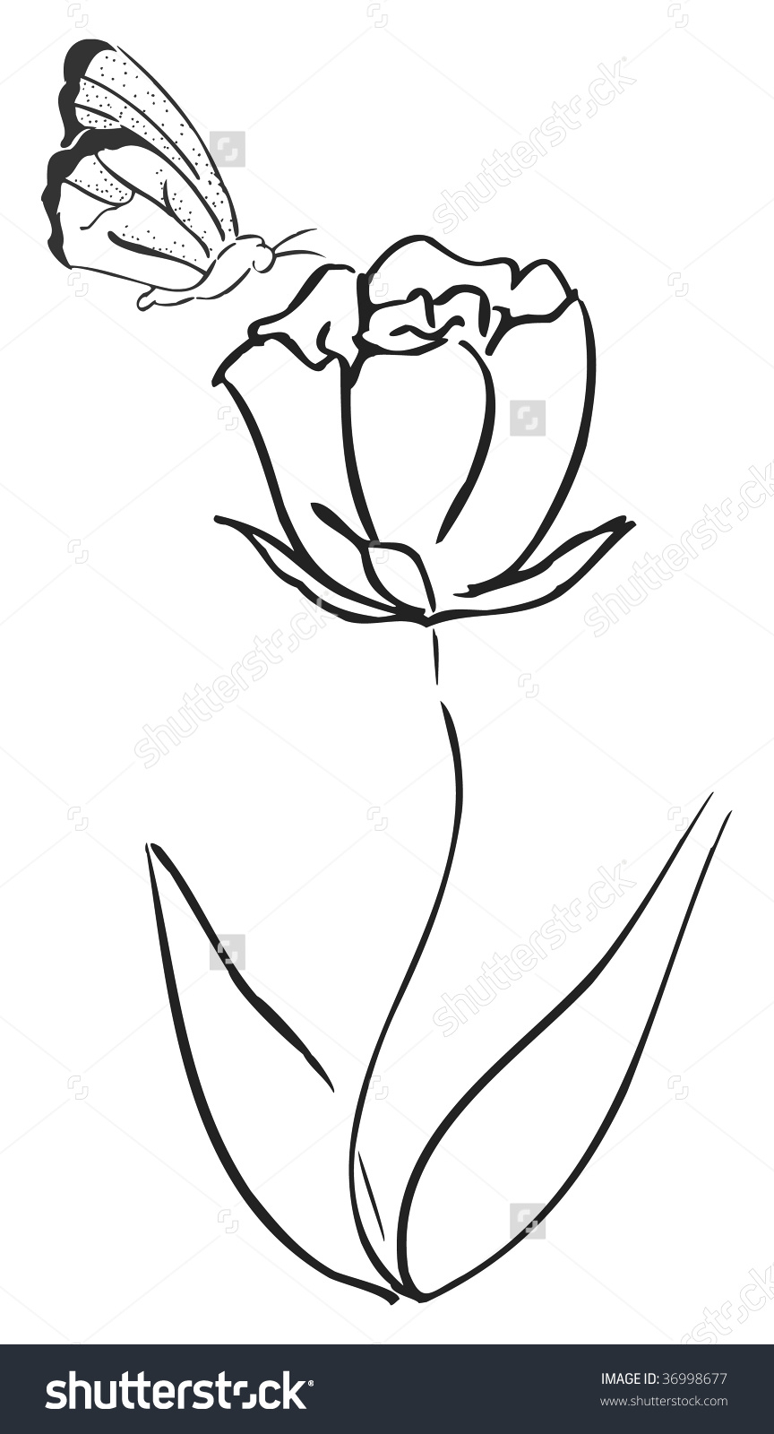 864x1600 Butterfly On Flower Drawing